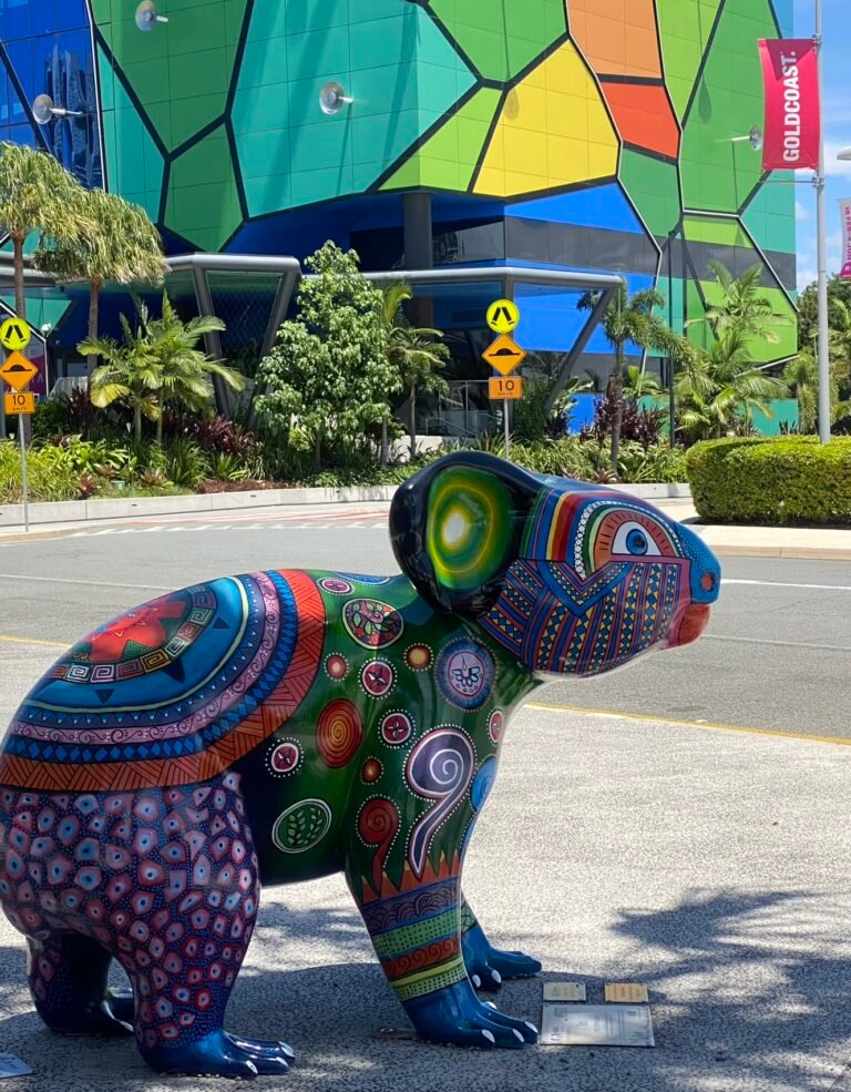 Tobi - Gold Coast Koala HOTA